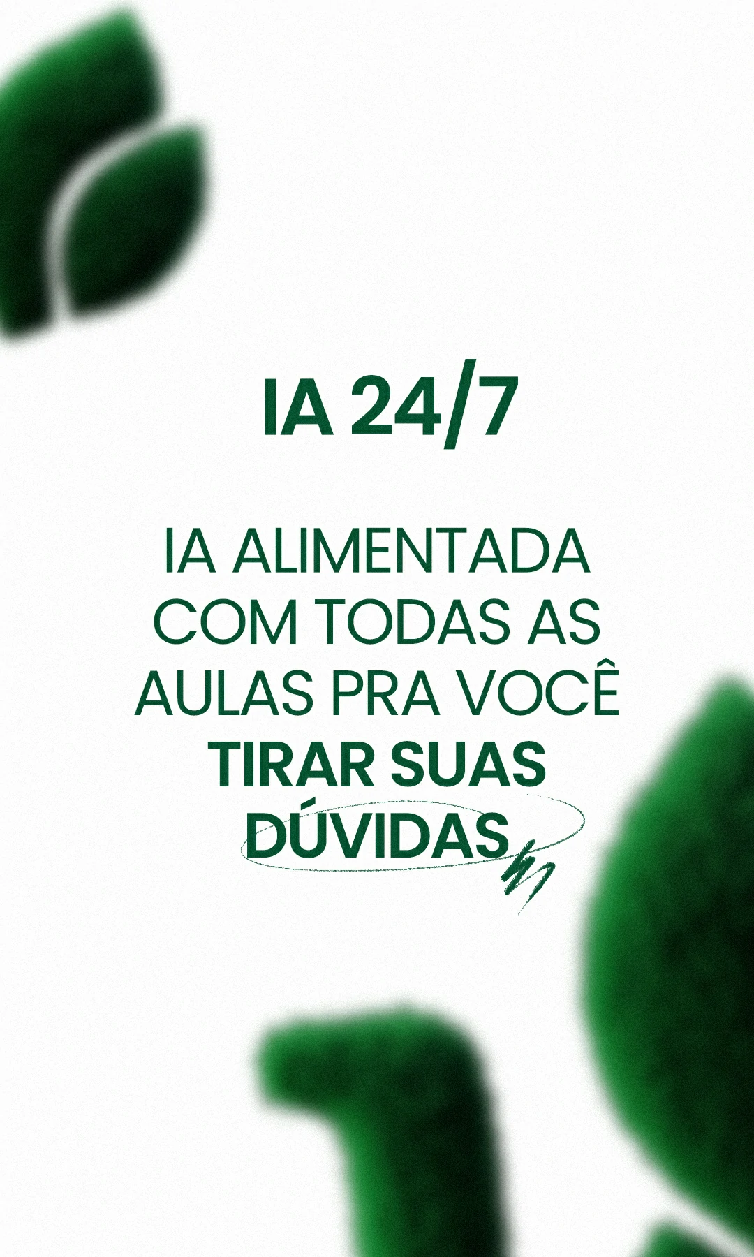 capa-02
