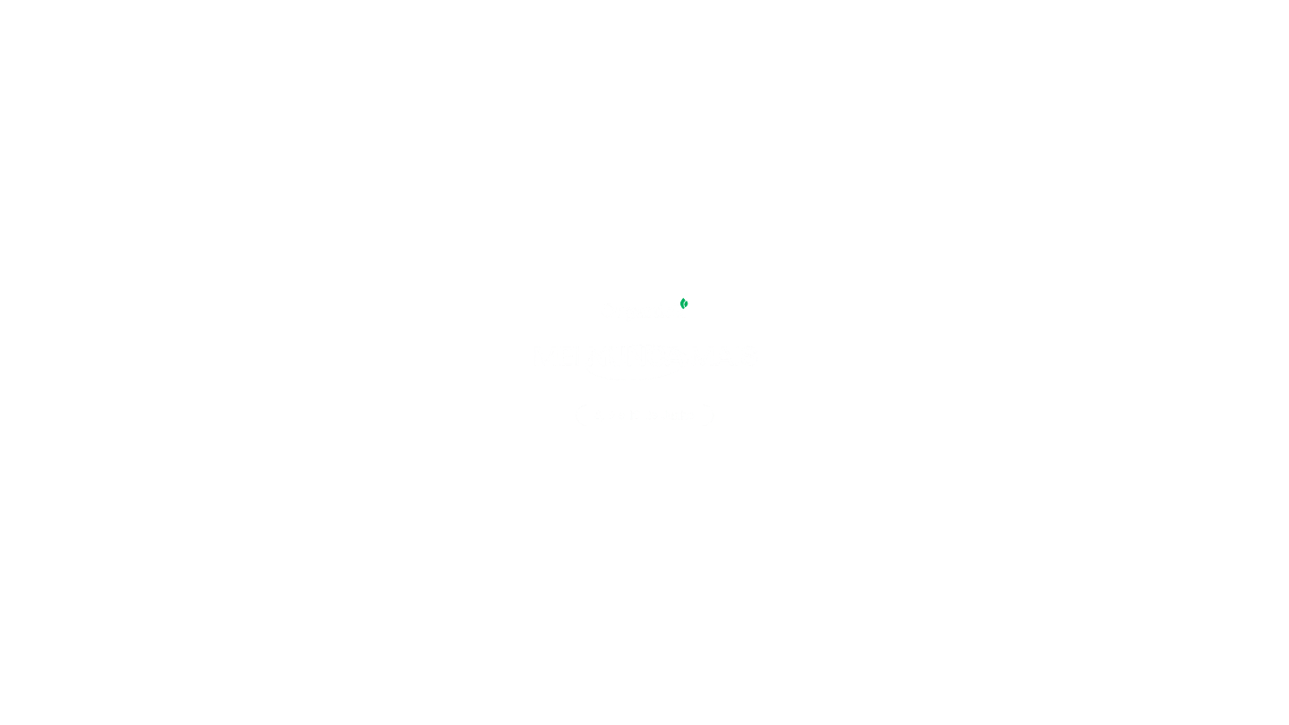 Logo MEI Nunca Mais
